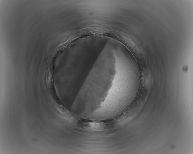 X0000097510371200802221512