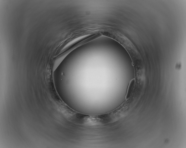 X0000097510372200802221512