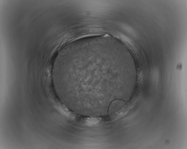 X0000097510373200802221512