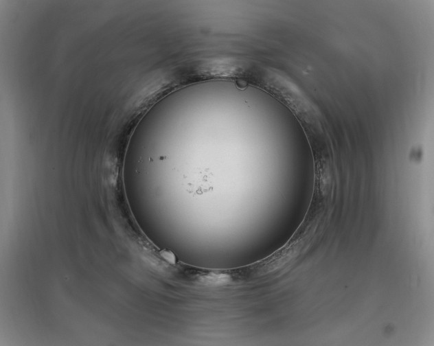 X0000097510374200802221512
