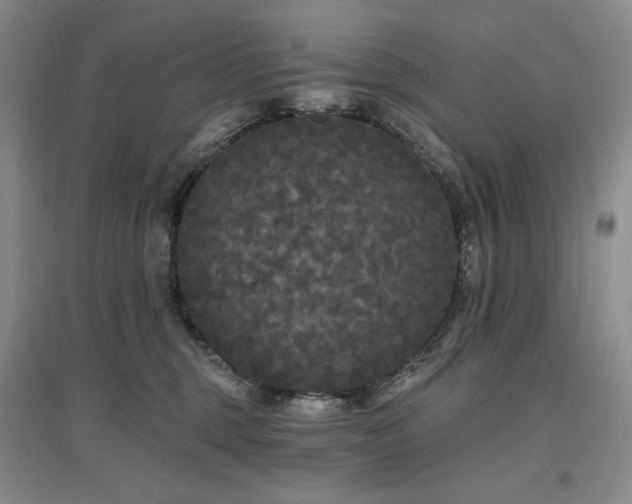 X0000097510375200802221512