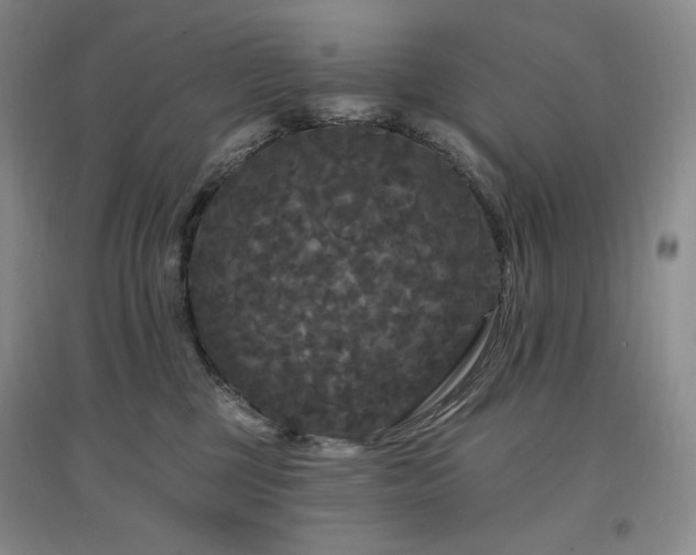 X0000097510377200802221512