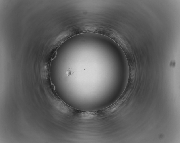 X0000097510378200802221512
