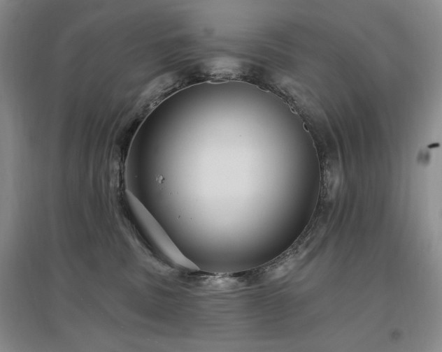 X0000097510379200802221512