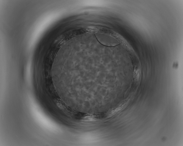 X0000097510381200802221512