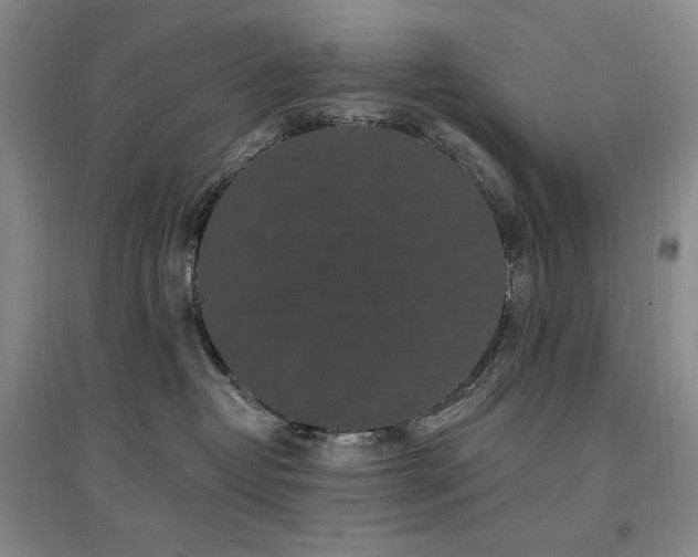 X0000097510382200802221513
