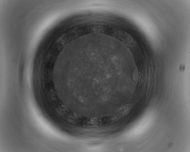 X0000097510383200802221513