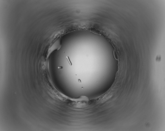 X0000097510384200802221513