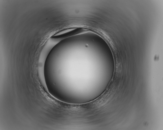 X0000097510385200802221512