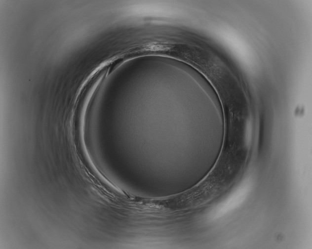 X0000097510387200802221512