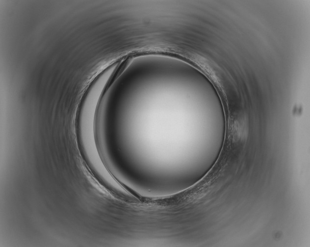 X0000097510389200802221512