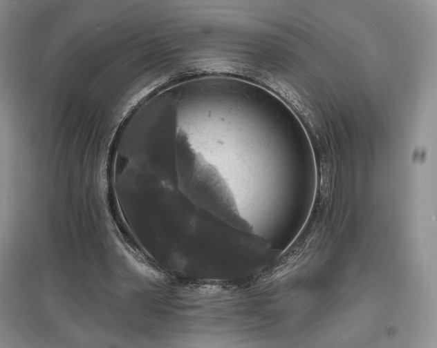 X0000097510390200802221512