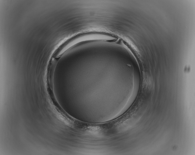 X0000097510391200802221512