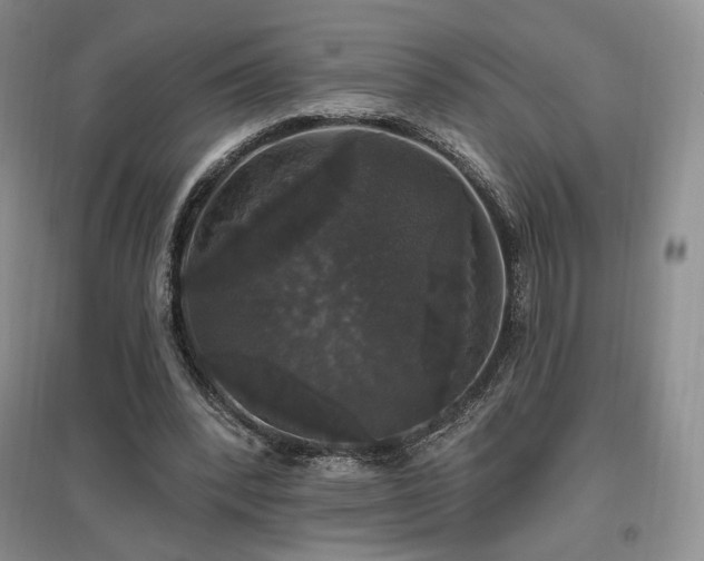X0000097510392200802221512