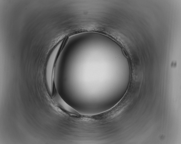 X0000097510393200802221512