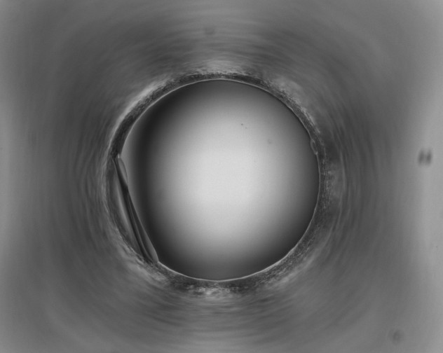 X0000097510395200802221512