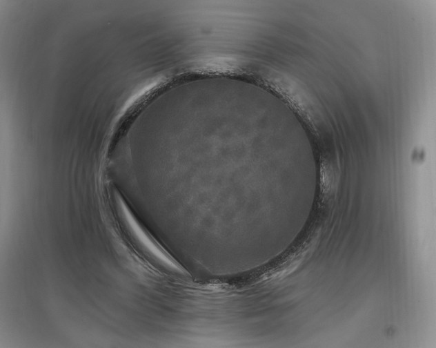 X0000097510396200802221512
