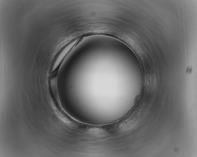 X0000097510397200802221512
