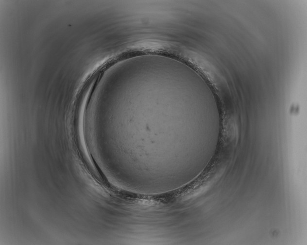 X0000097510399200802221512