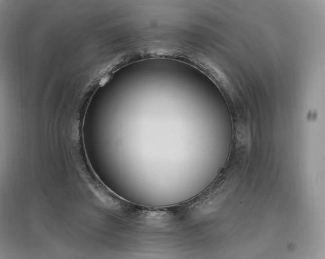 X0000097510401200802221512