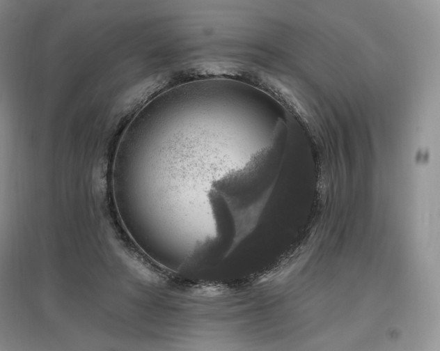 X0000097510402200802221512