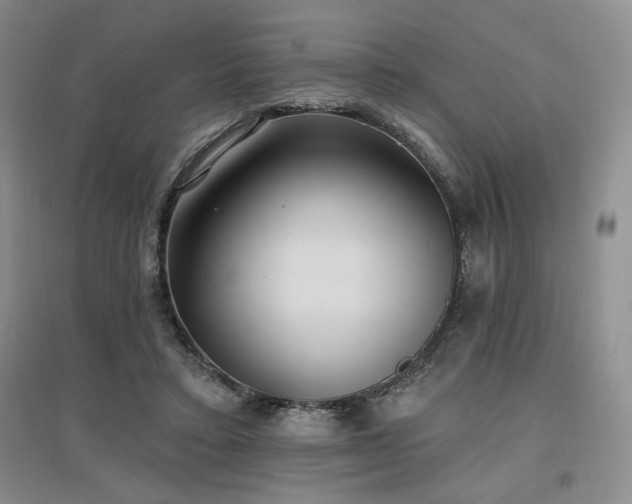 X0000097510403200802221512