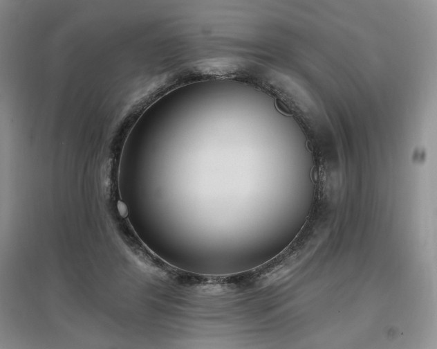 X0000097510404200802221512