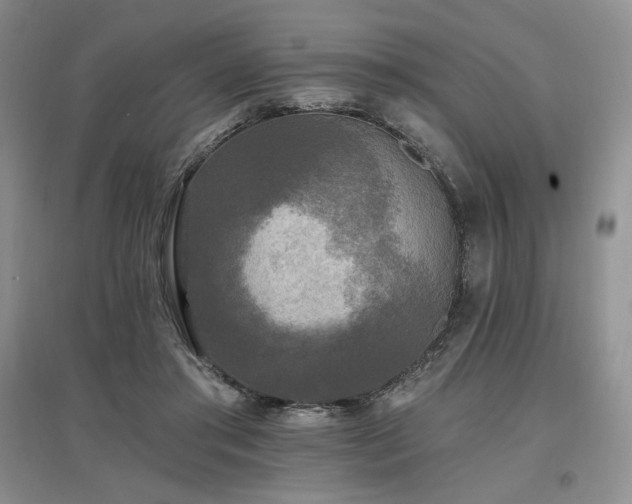 X0000097510405200802221512