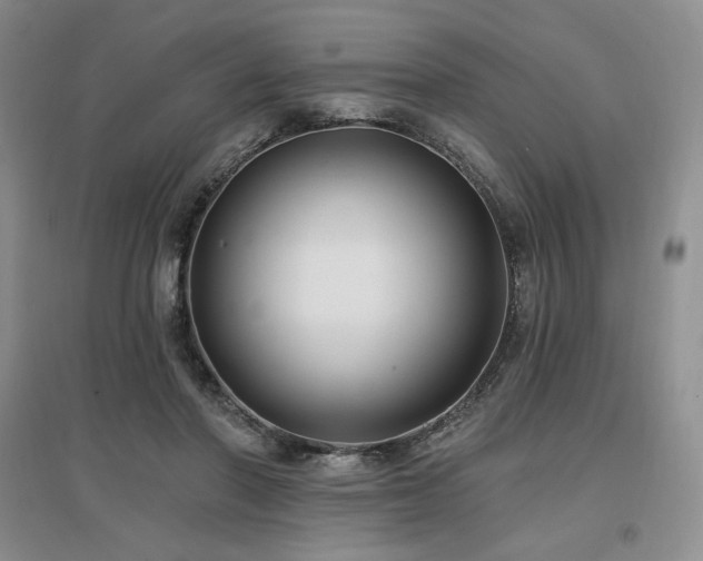X0000097510406200802221512