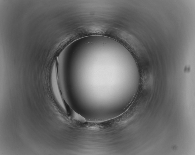 X0000097510407200802221512
