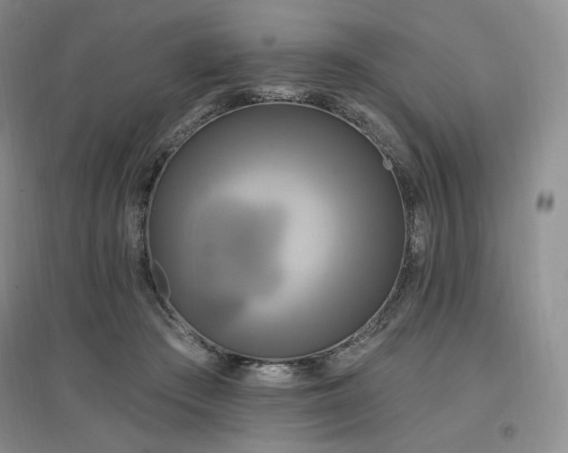 X0000097510409200802221512