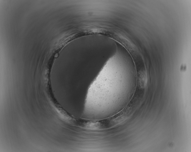 X0000097510410200802221512