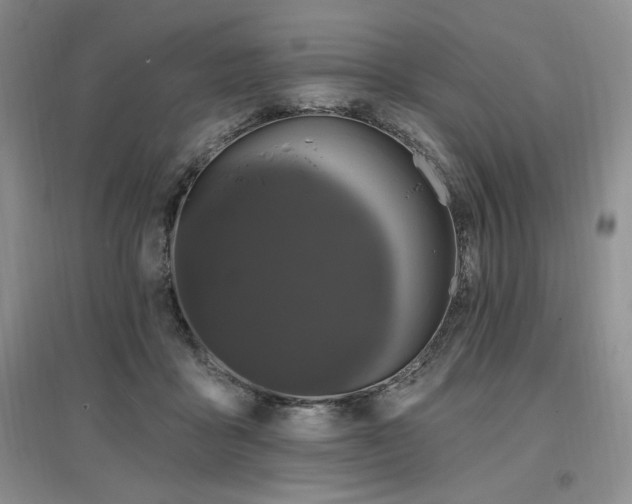 X0000097510411200802221512