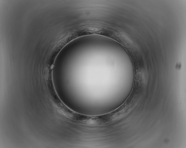 X0000097510412200802221511