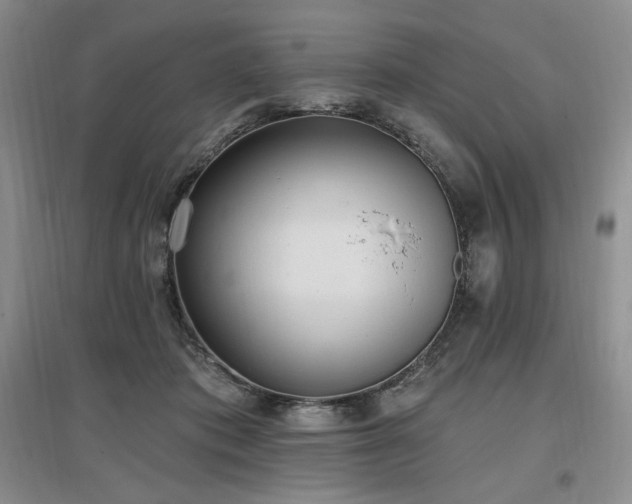 X0000097510413200802221511