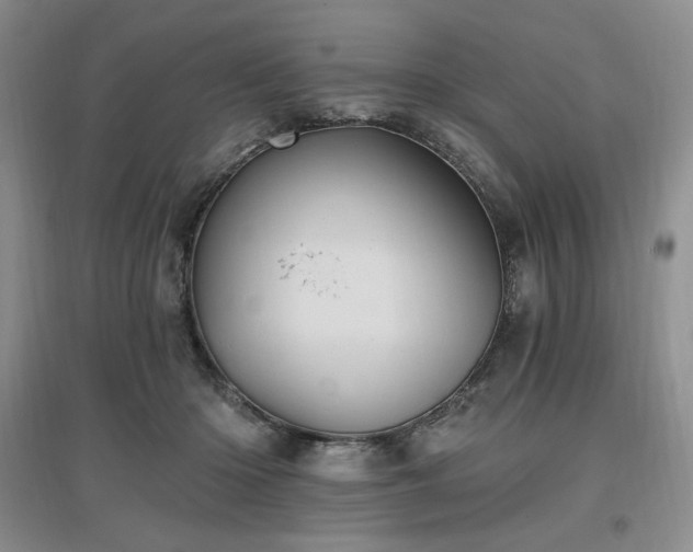 X0000097510414200802221511