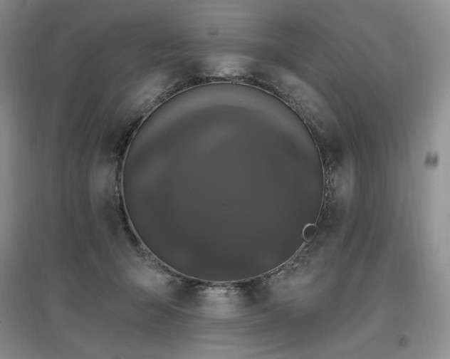 X0000097510415200802221511