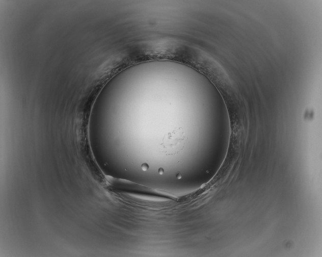 X0000097510416200802221511