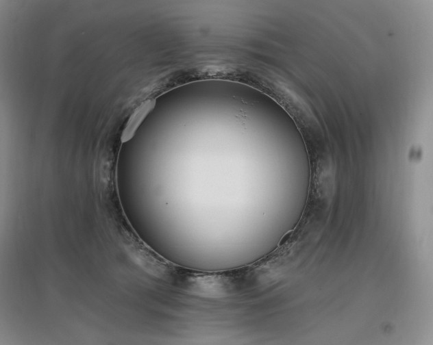 X0000097510417200802221511