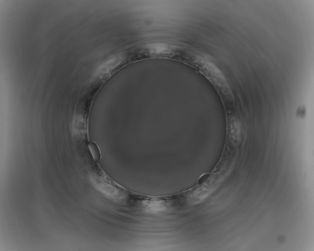 X0000097510419200802221511