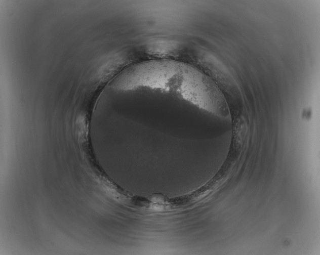 X0000097510420200802221511