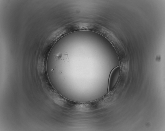 X0000097510422200802221511
