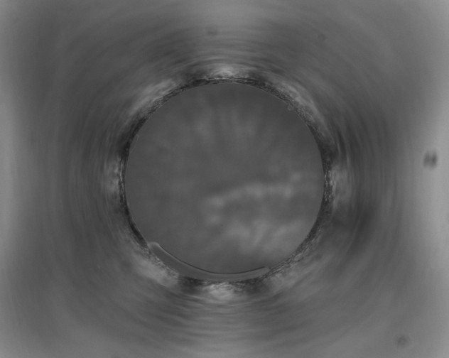 X0000097510423200802221511