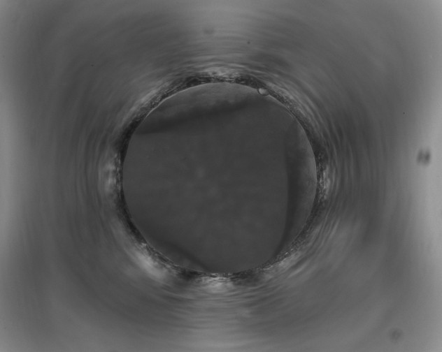 X0000097510424200802221511