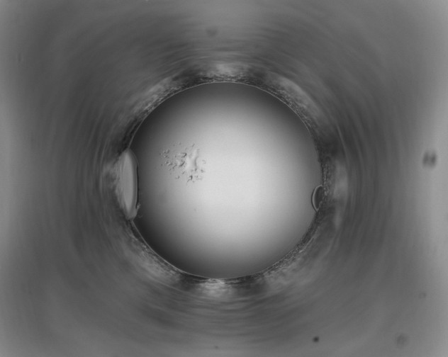 X0000097510425200802221511