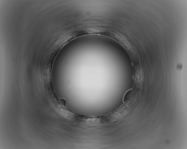 X0000097510426200802221511