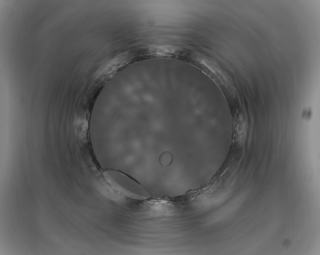 X0000097510427200802221511