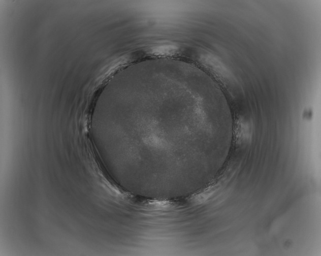 X0000097510428200802221511