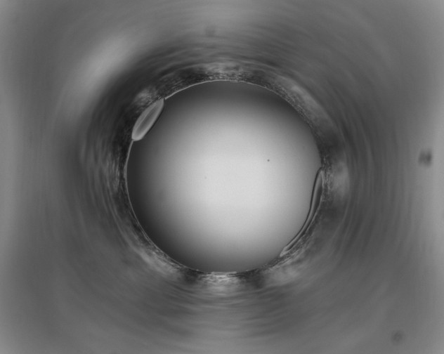 X0000097510429200802221511