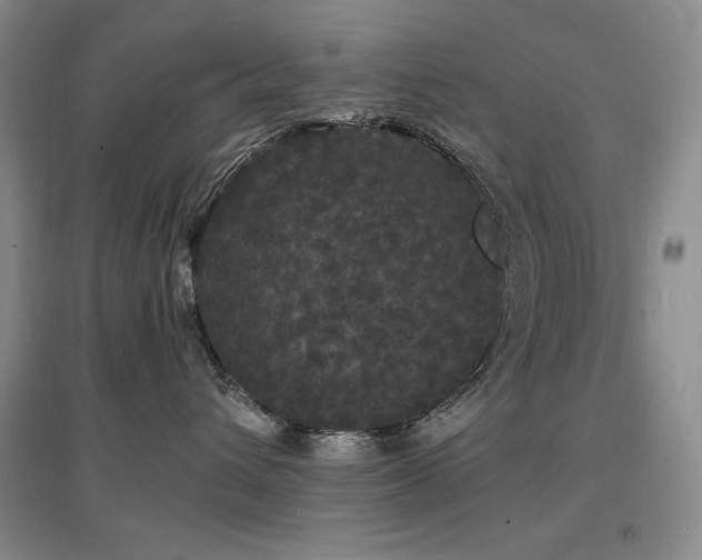 X0000097510432200802221511